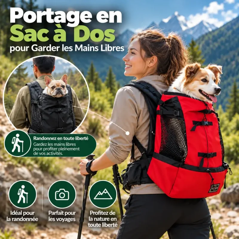 Sac à dos porte chien porté pendant une randonnée